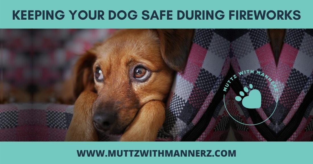 5 Tips to Keep Your Dogs Safe During Fireworks Muttz with Mannerz™