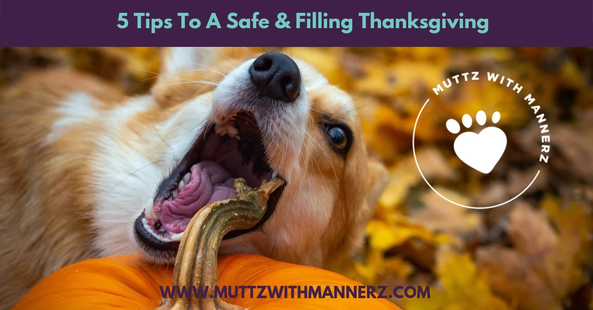 5 Tips To A Safe & Filling Thanksgiving