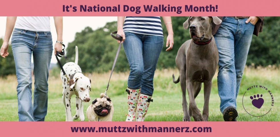 Submit a Comment Cancel reply