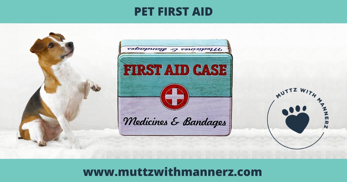 Pet First Aid