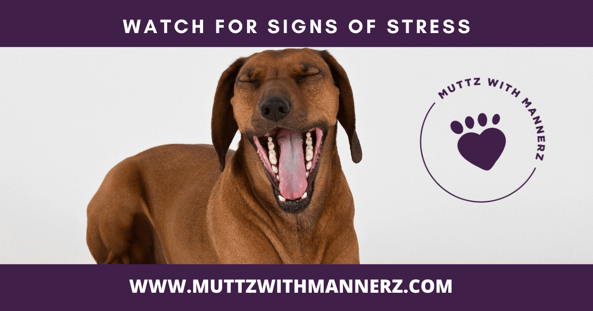 Watching for Signs of Stress