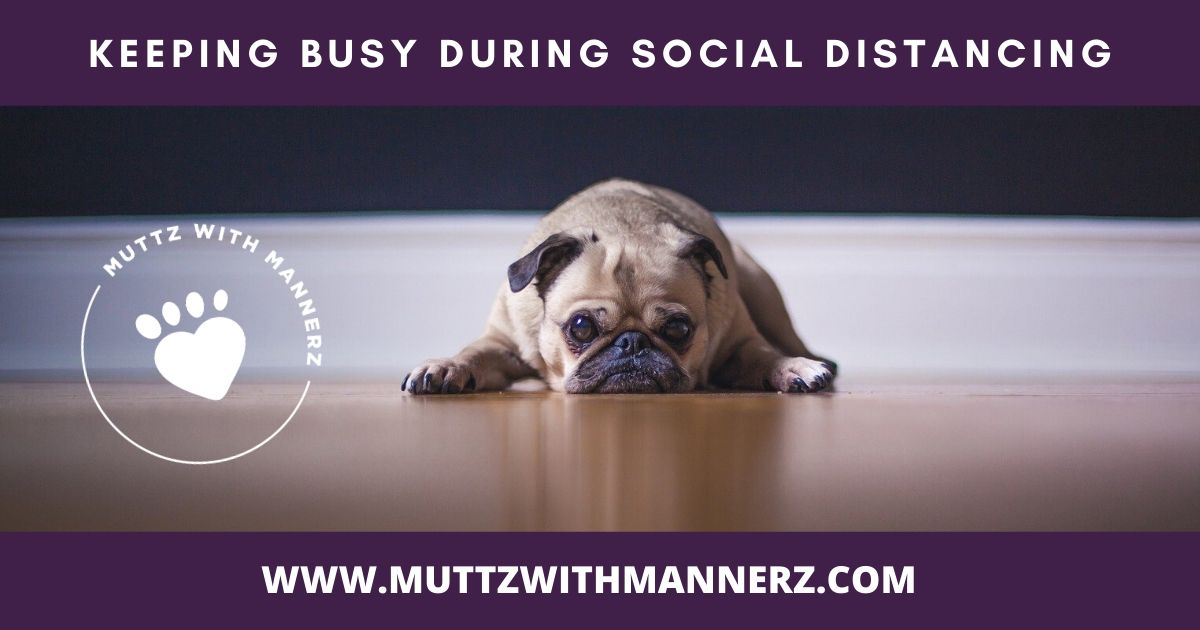 Keeping Busy During Social Distancing