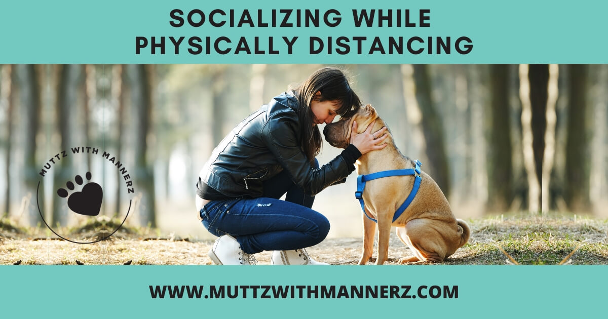 Socializing While Physically Distancing