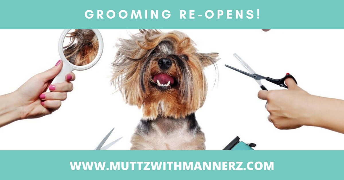 Grooming Re-opens!