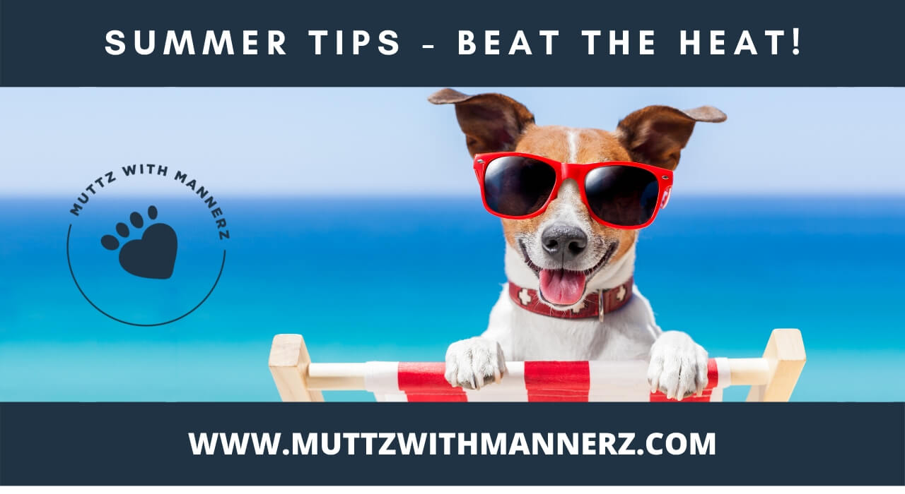 Summer Tips to Beat The Heat