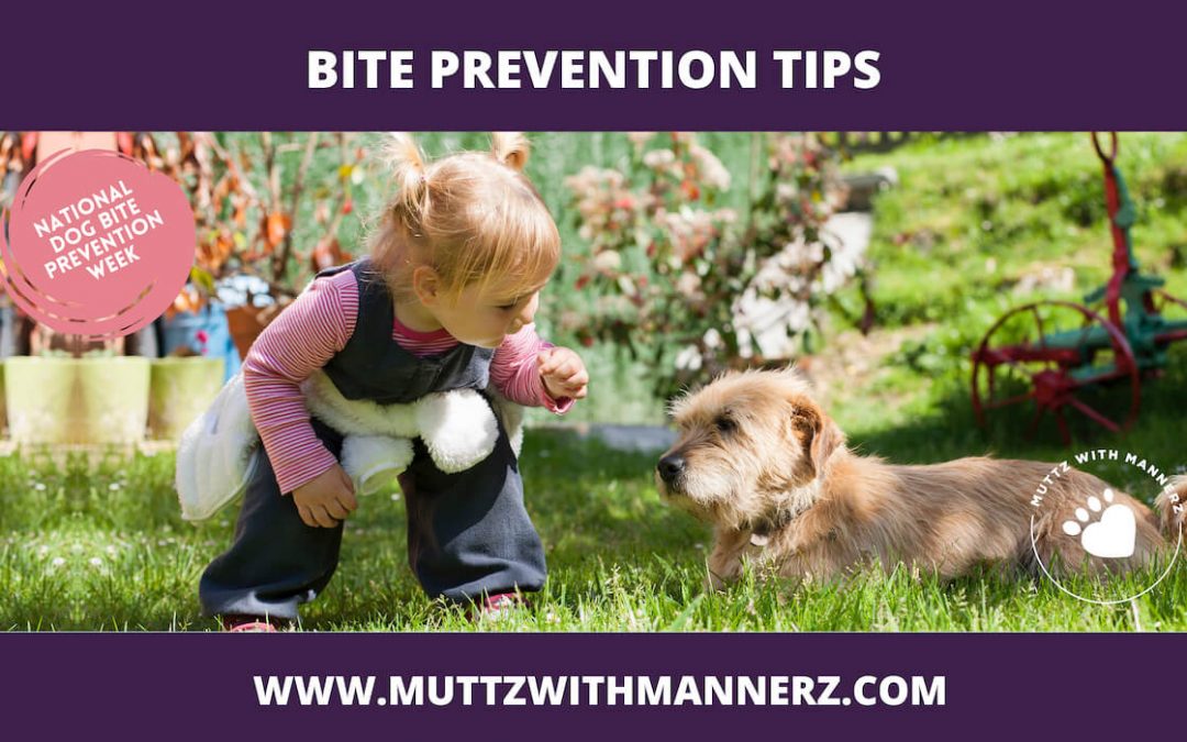 Bite Prevention Tips