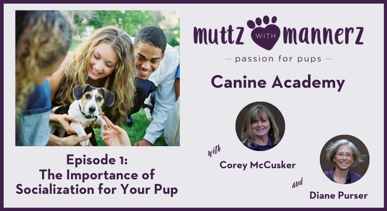 Episode 001: The Importance of Socialization for your Pup
