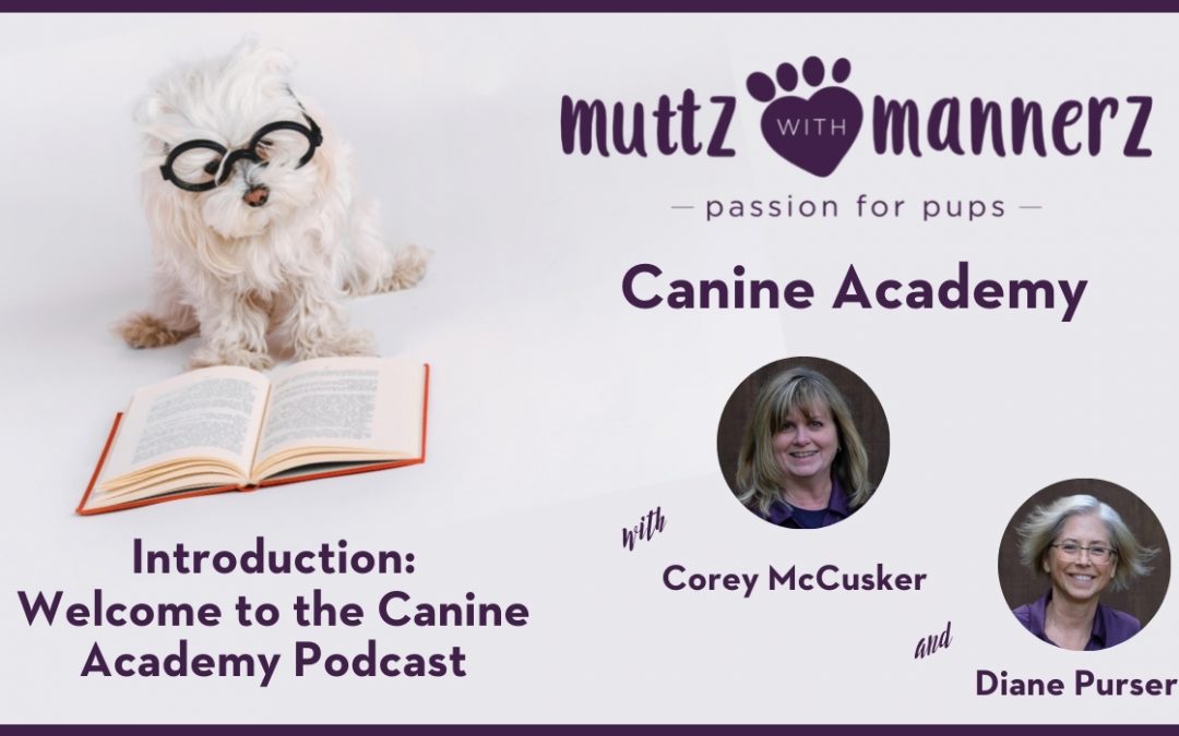 Welcome to the Muttz with Mannerz Canine Academy Podcast