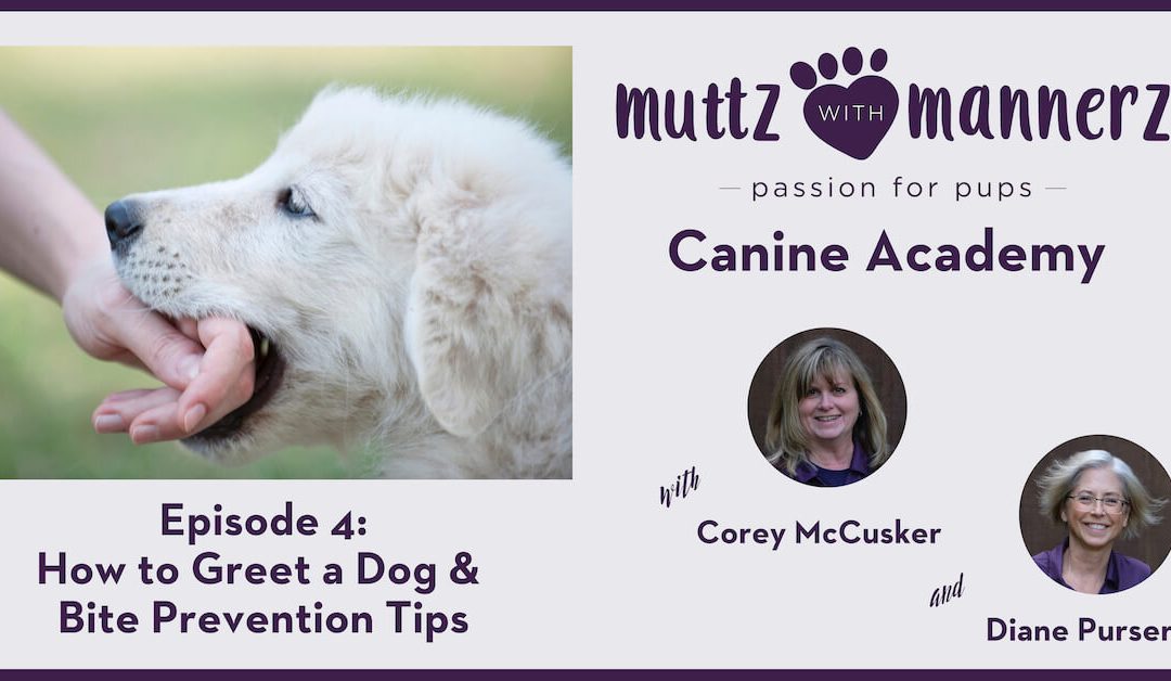 Episode 004: How to Greet a Dog & Bite Prevention Tips