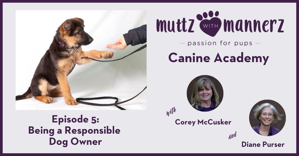 Episode 005: Being a Responsible Dog Owner