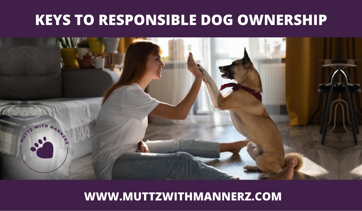 Keys to Responsible Dog Ownership