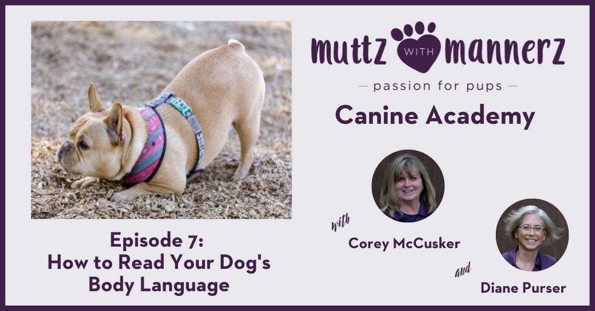 Episode 7- How to Read Your Dog's Body Language