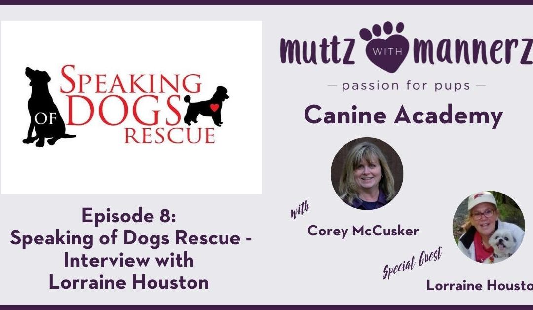 Episode 008: Speaking of Dogs Rescue – Interview with Lorraine Houston – Transcript
