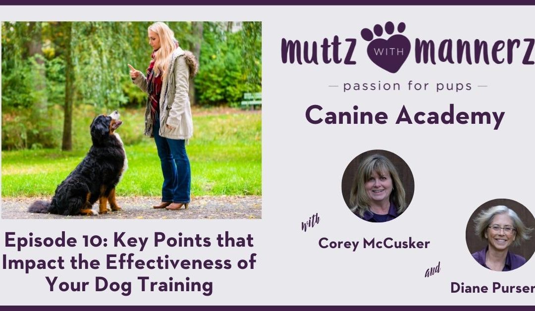 Episode 010: Key Points that Impact the Effectiveness of Your Dog Training – Transcript