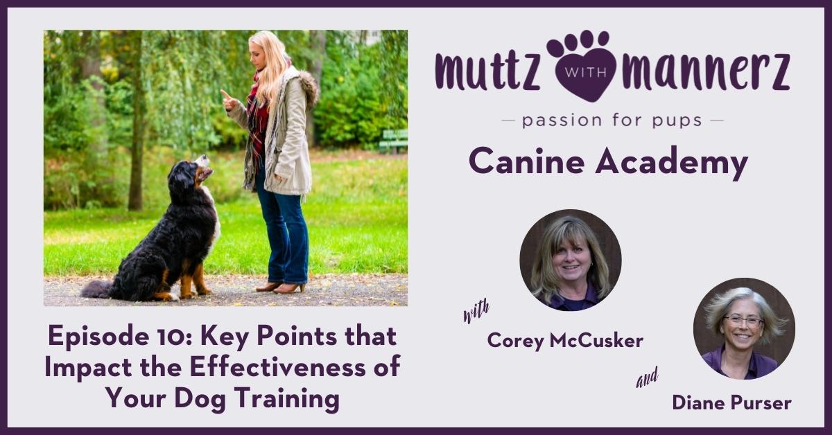 Episode 010: Key Points that Impact the Effectiveness of Your Dog Training