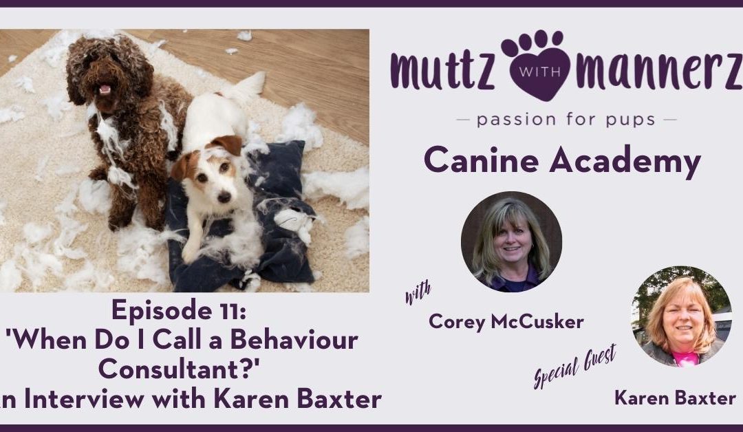 Episode 011: When Do I Call a Behaviour Consultant? An Interview with Karen Baxter