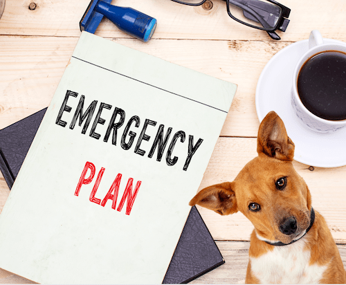 Emergency Plan Image