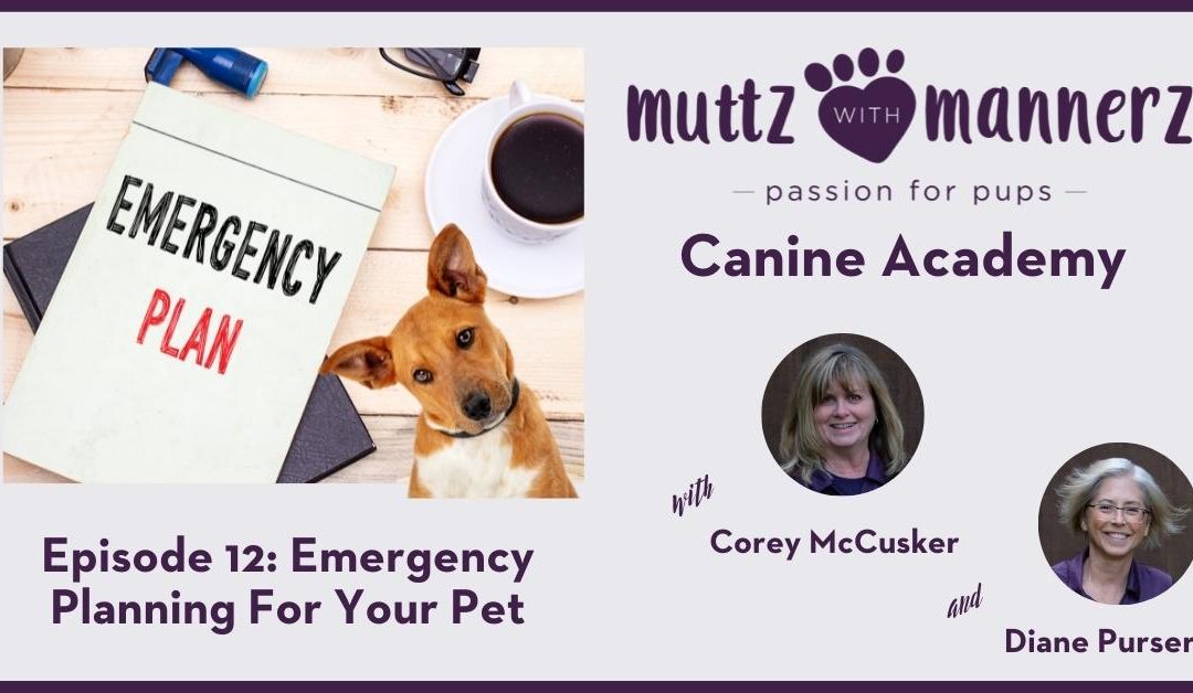Episode 012: Emergency Planning for your Pet