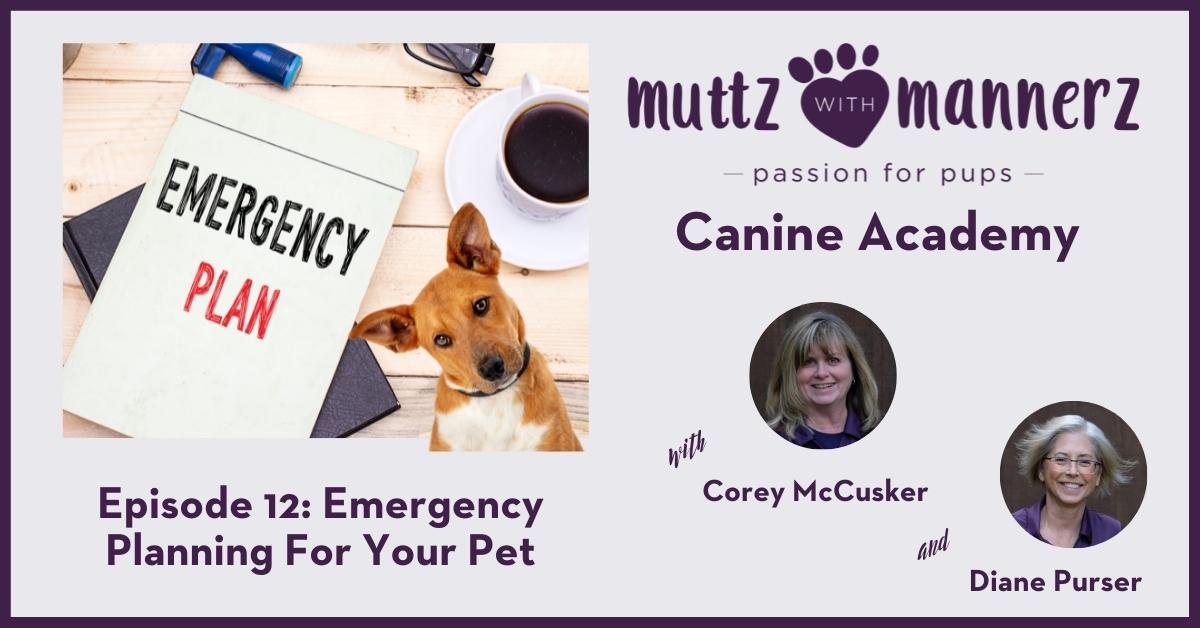 Episode 12- Emergency Planning for your Pet