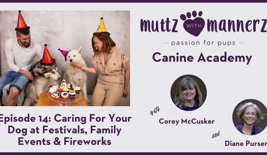 Episode 14: Caring For Your Dog at Festivals, Family Events & Fireworks