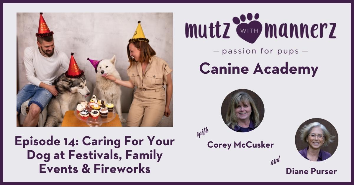 Episode 14- Caring For Your Dog at Festivals, Family Events & Fireworks