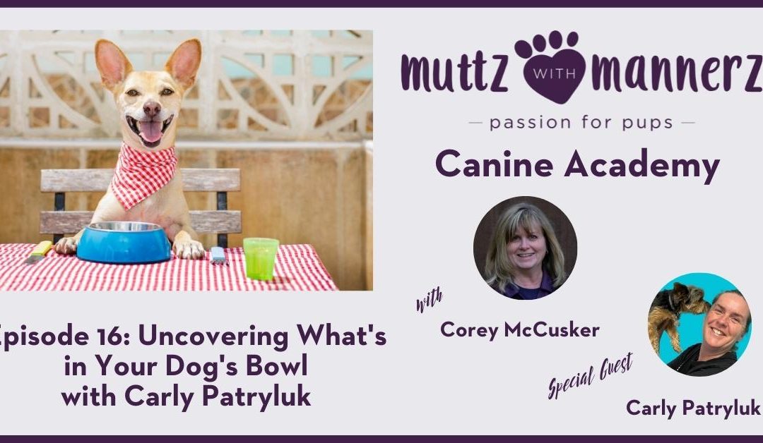 Episode 16: Uncovering What’s in Your Dog’s Bowl with Carly Paryluk – Transcript
