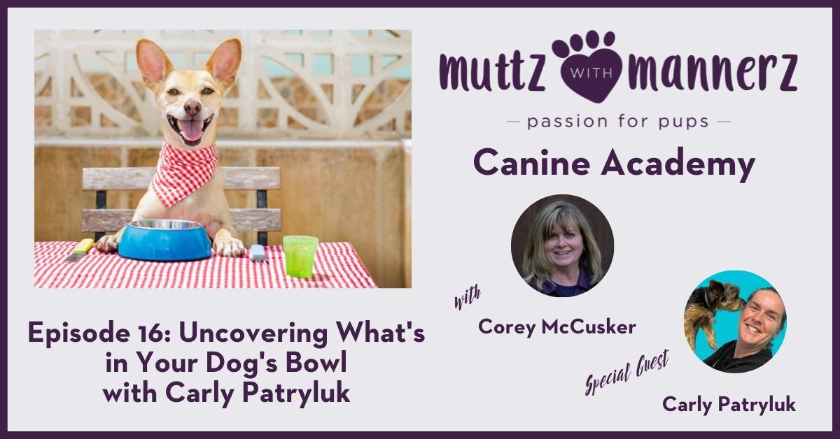 Episode 16: Uncovering What’s in Your Dog’s Bowl with Carly Paryluk