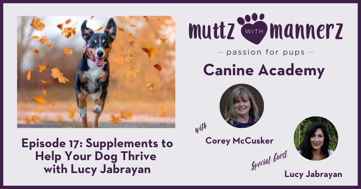 Episode 017: Supplements to Help Your Dog Thrive with Lucy Jabrayank