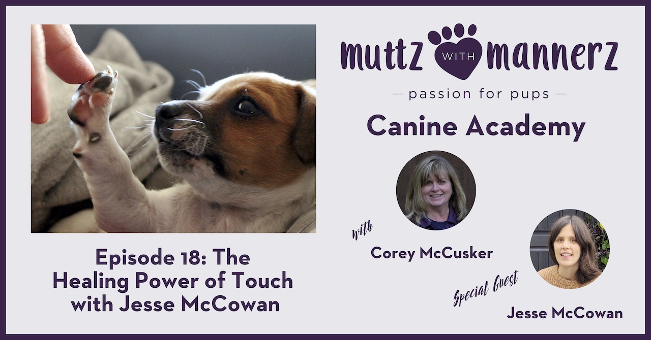 Muttz with Mannerz Canine Academy Podcast Episode 18