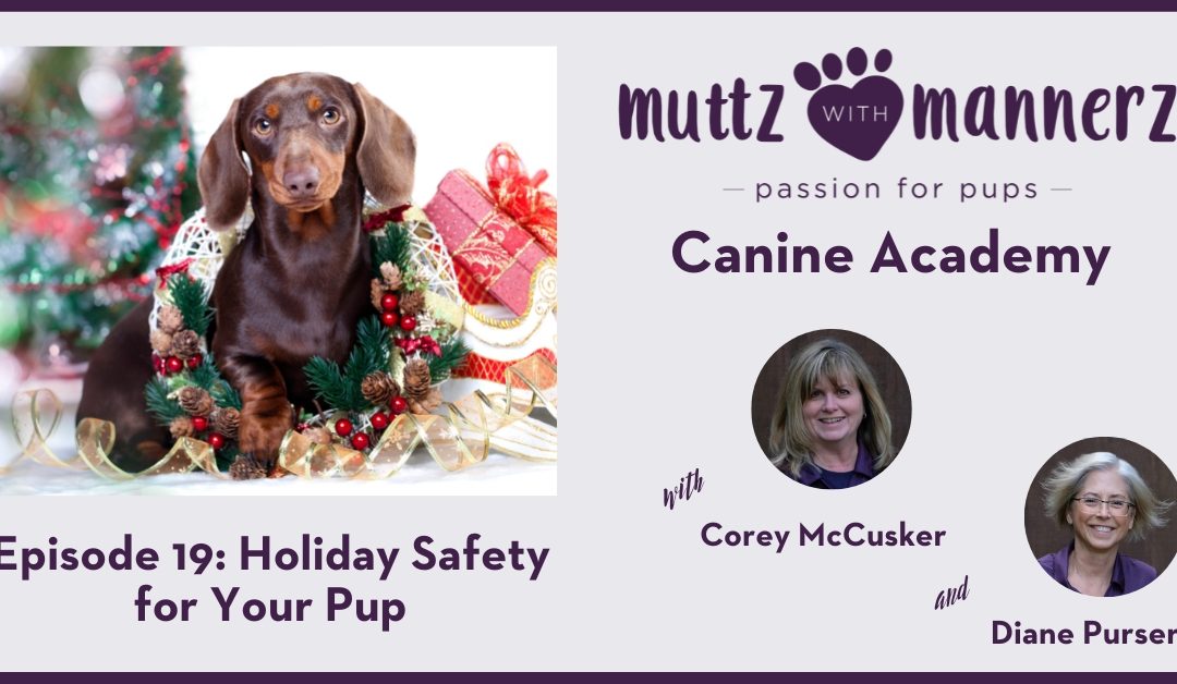 Episode 19: Holiday Safety for Your Pup