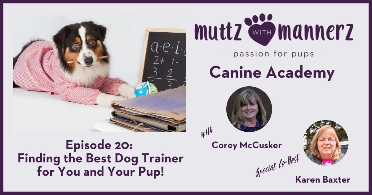 Episode 20: Finding the Best Dog Trainer For Your Pup!