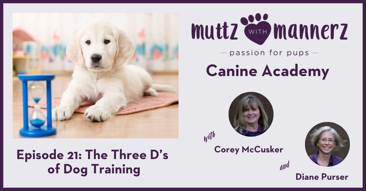 Episode 21: The Three D’s of Dog Training