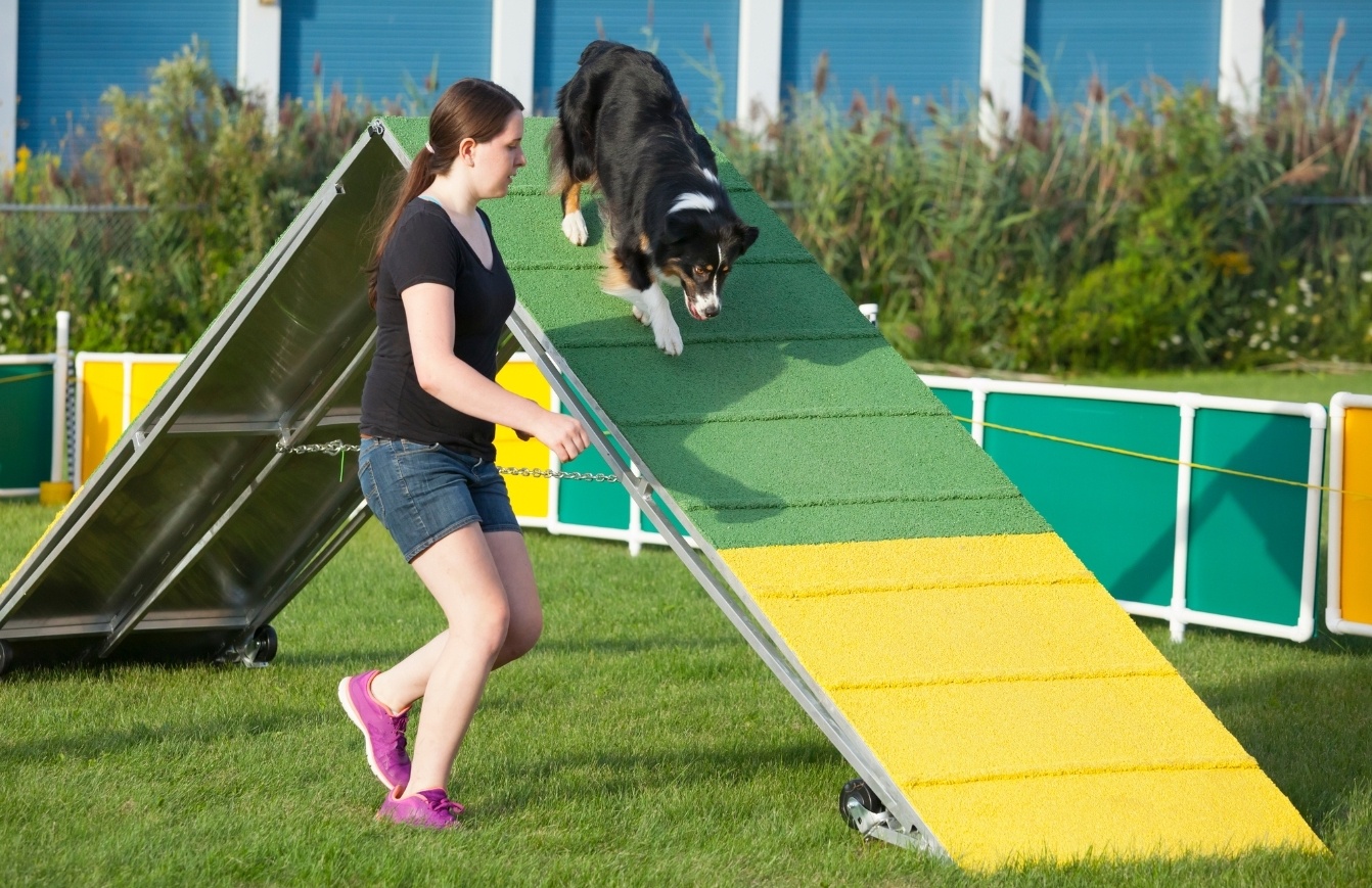 Climbing - Benefits of Agility Training for You and Your Dog