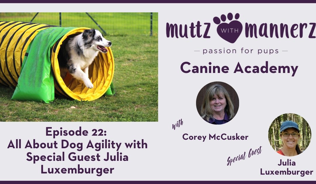 Episode 22: All About Dog Agility with Special Guest Julia Luxemburger