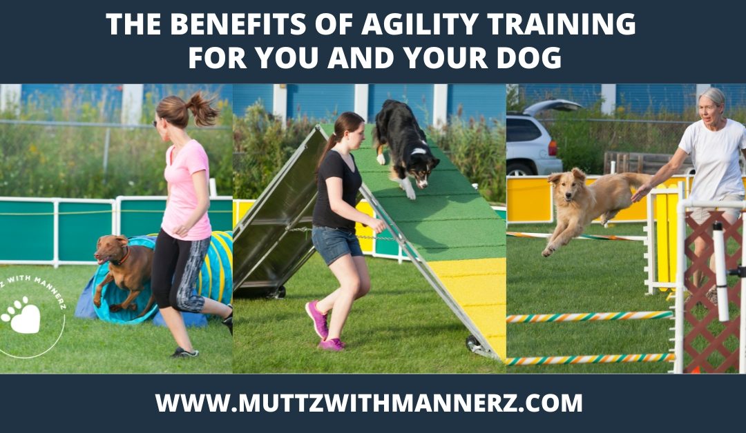 The Benefits of Agility Training for You and Your Dog