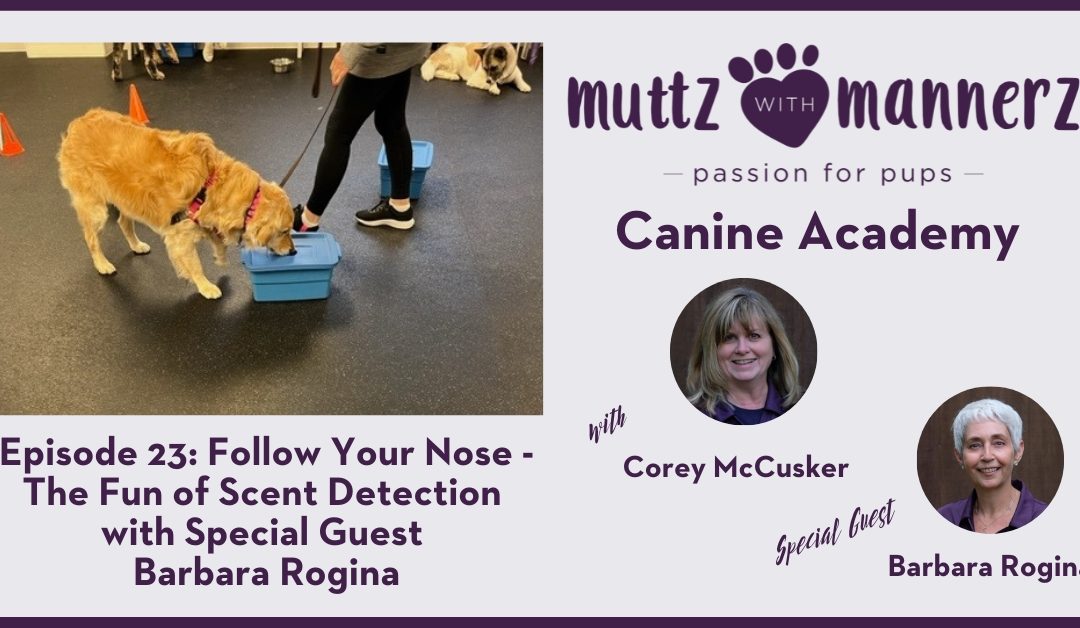 Episode 23: Follow Your Nose – The Fun of Scent Detection with Special Guest Barbara Rogina – Transcript