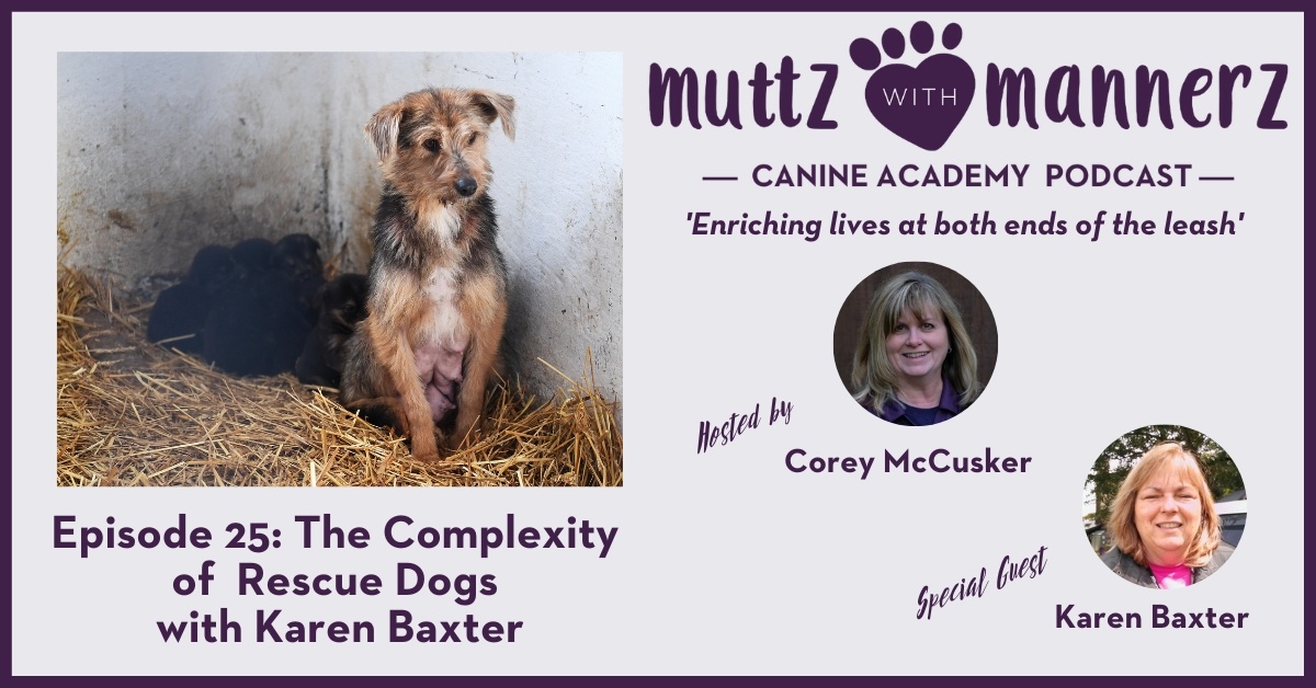 Episode 25: The Complexity of Rescue Dogs with Karen Baxter