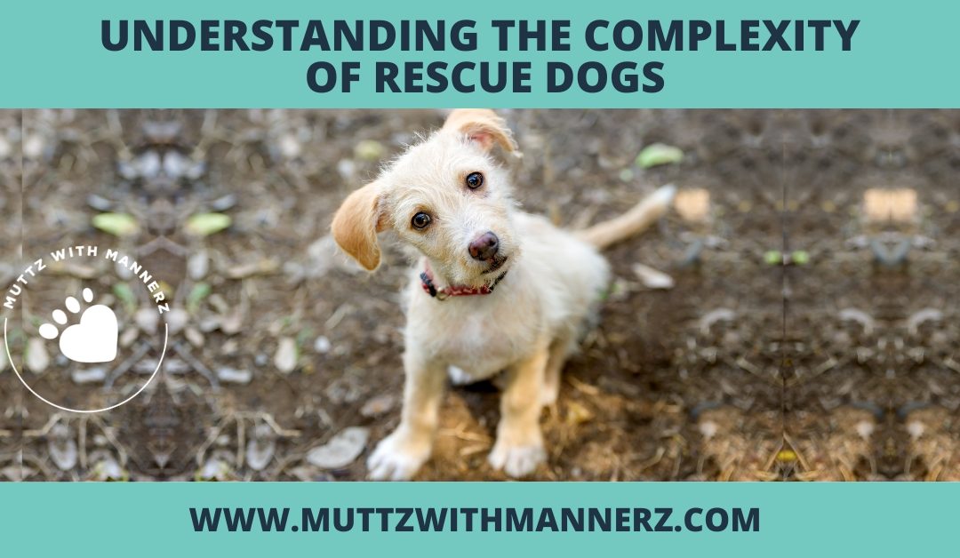 Understanding the Complexity of Rescue Dogs