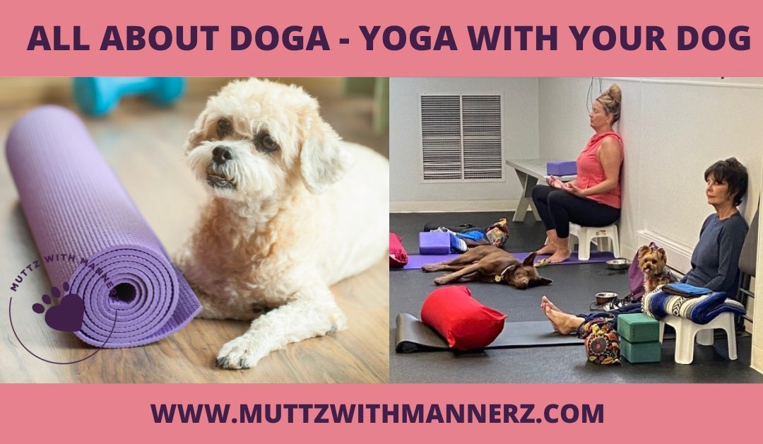 All About DOGA – Yoga with Your Dog