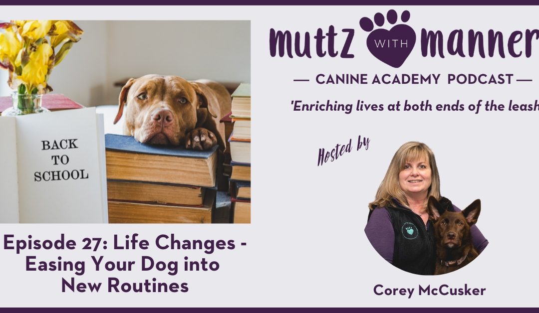 Episode 27: Life Changes – Easing Your Dog into New Routines – Transcript
