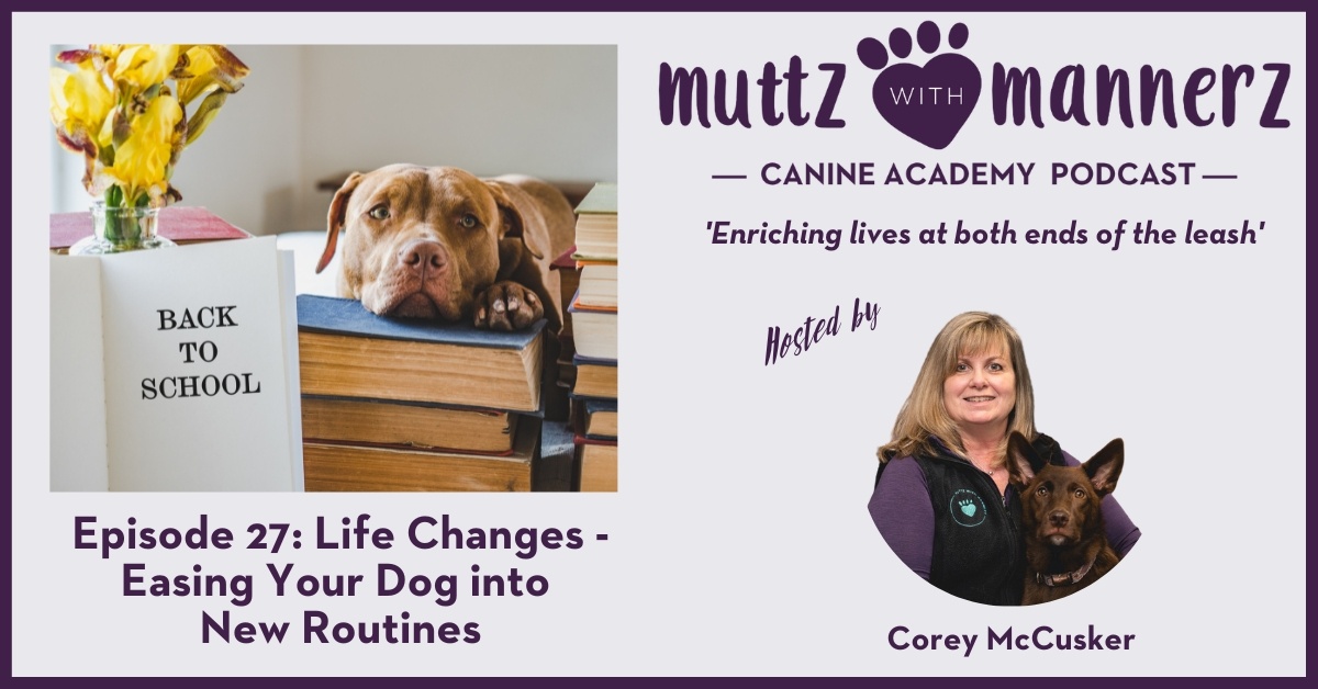 Episode 27 - Life Changes: Easing Your Dog into New Routines