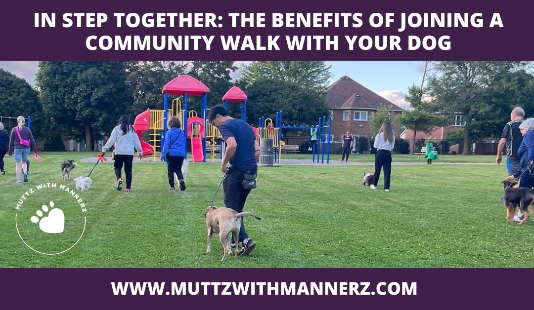 In Step Together: The Benefits of Joining a Community Walk with Your Dog