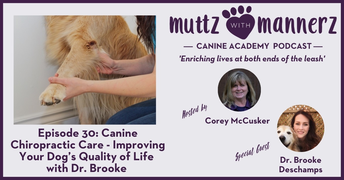 Episode 30: Canine Chiropractic Care – Improving Your Dog’s Quality of Life with  Dr. Brooke