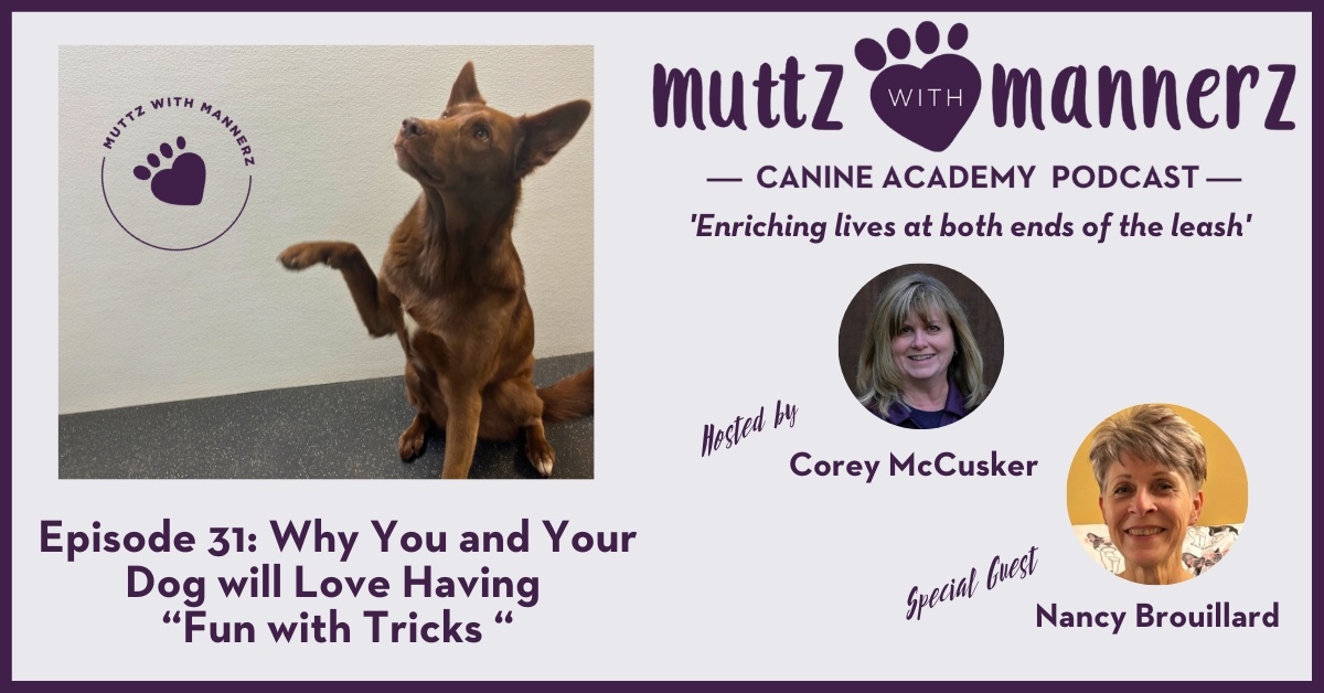 Episode 31: Why You and Your Dog will Love Having “Fun with Tricks”