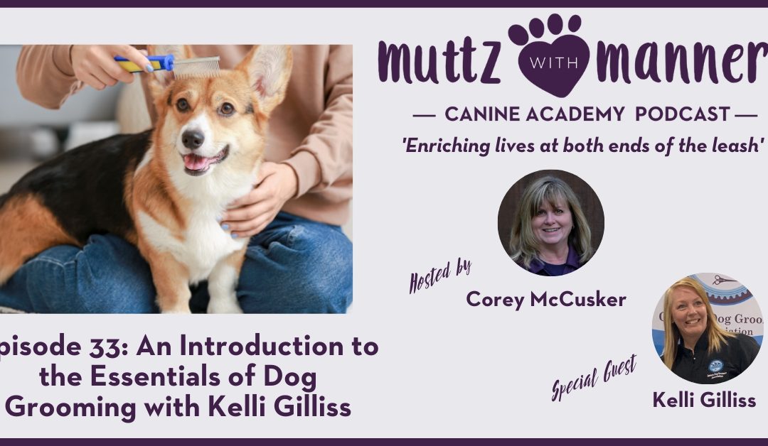 Episode 33: An Introduction to the Essentials of Dog Grooming with Kelli Gilliss
