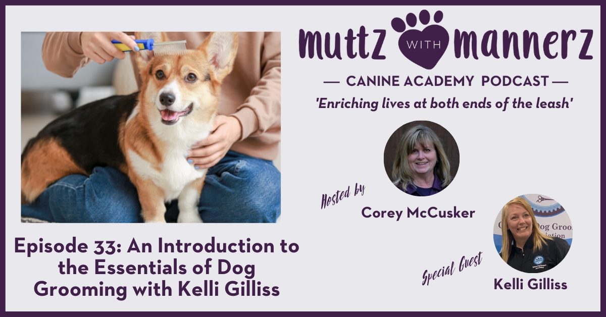 Episode 33: An Introduction to the Essentials of Dog Grooming with Kelli Gilliss