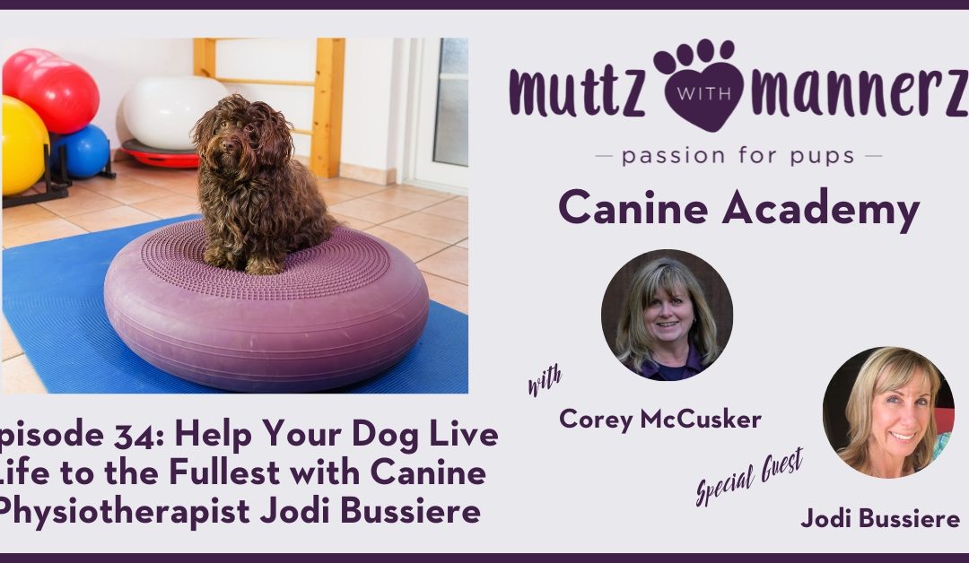Episode 34: Help your Dog Live Life to the Fullest with Canine Physiotherapist Jodi Bussiere