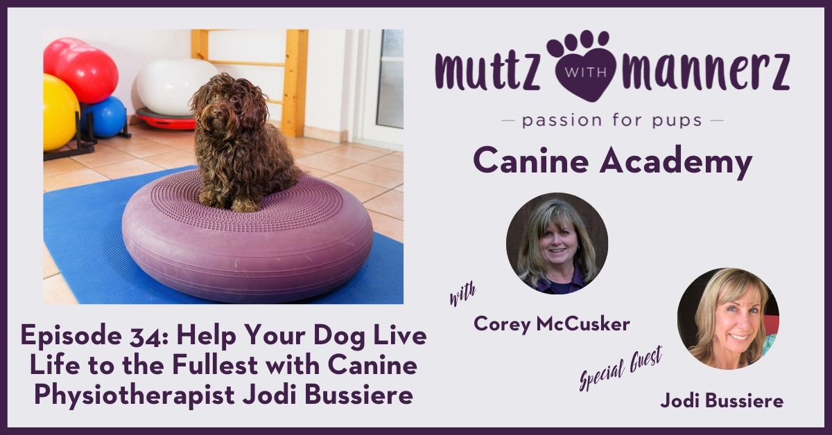 Episode 34: Help your Dog Live Life to the Fullest with Canine Physiotherapist Jodi Bussiere